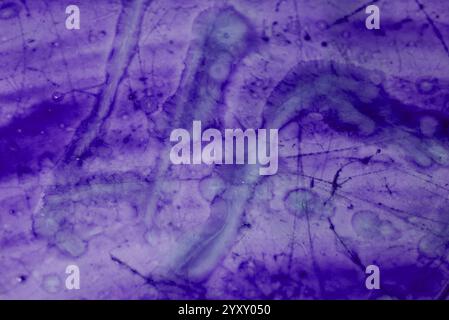 Farbiger Hintergrund. Farbenfroher Hintergrund. Art. Abstrakter Hintergrund. Blaue Acrylfarbe. Abstrakte, farbige Acrylfarbe. Wirbelnde Tinte. Farbfarbe Stockfoto