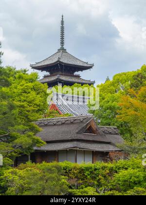 Goju-no-to (fünfstöckige Pagode) des Ninna Ji Tempels. Dieser Tempel ist ein buddhistischer Shingon-Tempel in der historischen Stadt Kyoto, Japan. Dieser Tempel gehört Stockfoto