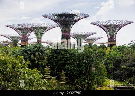 Skywalk Experience und Supertree Observatory, Gardens by the Bay, Singapur. Foto: David Rowland / One-Image.com Stockfoto