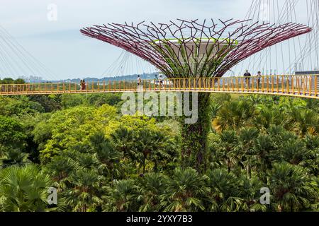 Skywalk Experience und Supertree Observatory, Gardens by the Bay, Singapur. Foto: David Rowland / One-Image.com Stockfoto