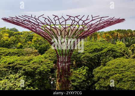 Supertree Observatory, Gardens by the Bay, Singapur. Foto: David Rowland / One-Image.com Stockfoto