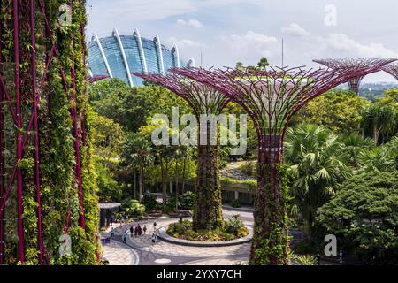 Skywalk Experience und Supertree Observatory, Gardens by the Bay, Singapur. Foto: David Rowland / One-Image.com Stockfoto