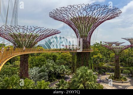 Skywalk Experience und Supertree Observatory, Gardens by the Bay, Singapur. Foto: David Rowland / One-Image.com Stockfoto