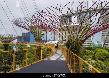 Skywalk Experience und Supertree Observatory, Gardens by the Bay, Singapur. Foto: David Rowland / One-Image.com Stockfoto