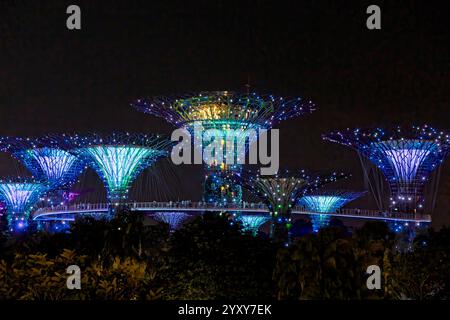 Supertree Panorama, Garden Rhapsody Light Display, Gardens by the Bay, Singapur. Foto: David Rowland / One-Image.com Stockfoto