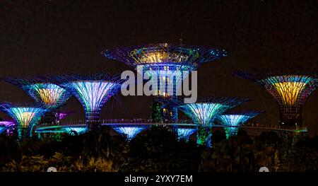 Supertree Panorama, Garden Rhapsody Light Display, Gardens by the Bay, Singapur. Foto: David Rowland / One-Image.com Stockfoto