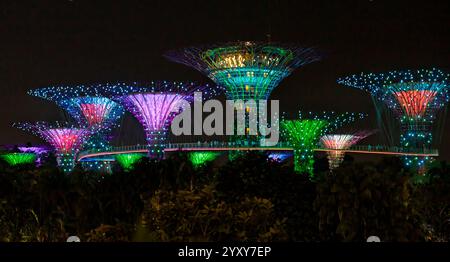 Supertree Panorama, Garden Rhapsody Light Display, Gardens by the Bay, Singapur. Foto: David Rowland / One-Image.com Stockfoto