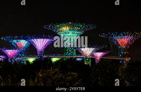 Supertree Panorama, Garden Rhapsody Light Display, Gardens by the Bay, Singapur. Foto: David Rowland / One-Image.com Stockfoto