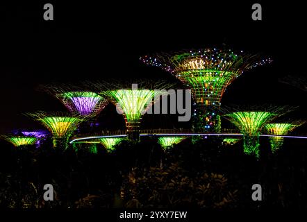 Supertree Panorama, Garden Rhapsody Light Display, Gardens by the Bay, Singapur. Foto: David Rowland / One-Image.com Stockfoto