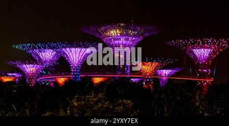 Supertree Panorama, Garden Rhapsody Light Display, Gardens by the Bay, Singapur. Foto: David Rowland / One-Image.com Stockfoto