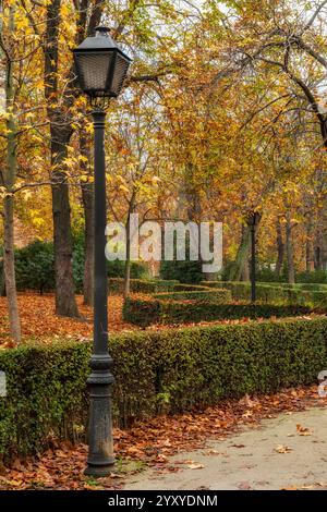 Herbstfarben im Retiro Park, Madrid, Spanien Stockfoto