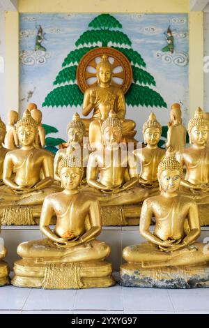 Ein heiterer Tempel in Thailand bietet Reihen goldener Buddha-Statuen, die Frieden und spirituelle Schönheit versprühen. Stockfoto