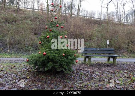 Auch in diesem Jahr sieht es es im Siegerland nicht nach Weißen weißen Weihnachten aus. Ein Trister Vormittag im Siegerland. Ein mit roten Kugeln geschmueckter geschmückter Weihnachtsbaum steht in der Naehe Nähe vom Buescher Büscher Weiher neben einer Bank. Herbst im Siegerland am 18.12.2024 in Freudenberg/Deutschland. *** Es sieht in diesem Jahr nicht aus wie eine Weiße Weihnacht im Siegerland. Entweder Ein trostloser Morgen im Siegerland Ein mit roten Kugeln geschmückter Weihnachtsbaum steht neben dem Buescher Büscher Weiher-Teich neben einer Bank Herbst im Siegerland am 18. Dezember 2024 in Freudenberg Stockfoto