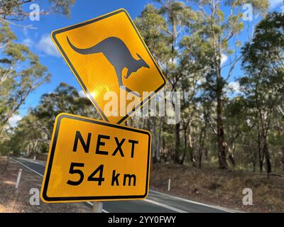 Halls Gap, Australien. Mai 2024. Ein Straßenschild warnt vor der Überquerung von Kängurus im Grampians-Nationalpark im australischen Bundesstaat Victoria. Das gelb-schwarze Känguru-Schild ist eines der bekanntesten Wahrzeichen Australiens. Quelle: Steffen Trumpf/dpa/Alamy Live News Stockfoto