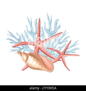 Rote Sternenfische mit Muscheln und Korallen. Unterwasserzusammensetzung. Handgezeichnete Aquarellillustration isoliert. Ozeanische Rifftiere. Mittelmeer Stockfoto