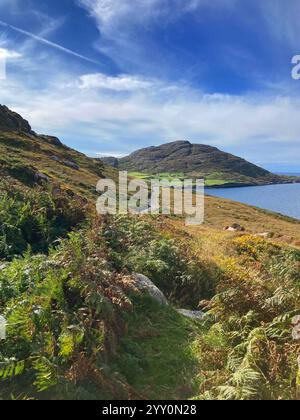 Die irische Küste zwischen Allihies und Eyeries, West County Cork - John Gollop Stockfoto