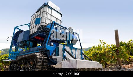 Die autonome Roboterspritze arbeitet in einem Weinberg. Smart-Farming-Konzept. Stockfoto