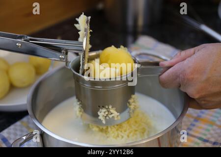 Schwäbische Küche, Zubereitung Petersilienwurzel Kartoffelpüree, Kartoffelpüree, mit Schweinernieren, sauren Nieren, Großmutters Kochen, regional, zu Hause Stockfoto