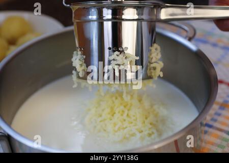 Schwäbische Küche, Zubereitung Petersilienwurzel Kartoffelpüree, Kartoffelpüree, mit Schweinernieren, sauren Nieren, Großmutters Kochen, regional, zu Hause Stockfoto