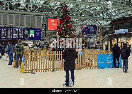 Glasgow, Schottland, Großbritannien. Dezember 2024. Am Weihnachtsbahnhof sahen wir Bäume und Passagiere, die an einem Kurzurlaub für den Urlaub im Centrel srarion beteiligt waren. Credit Gerard Ferry /Alamy Live News Stockfoto