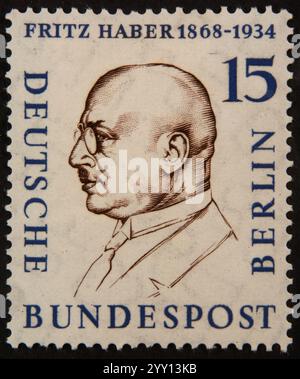 Fritz Haber, 1868–1934, deutscher Chemiker, der 1918 den Nobelpreis für Chemie erhielt. Porträt auf einer deutschen Briefmarke Stockfoto