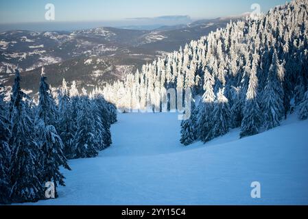 Das Skigebiet Pilsko liegt an der Grenze zwischen Slowenien und Polen und bietet malerische Pisten und Ausblicke Stockfoto