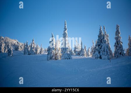 Das Skigebiet Pilsko liegt an der Grenze zwischen Slowenien und Polen und bietet malerische Pisten und Ausblicke Stockfoto