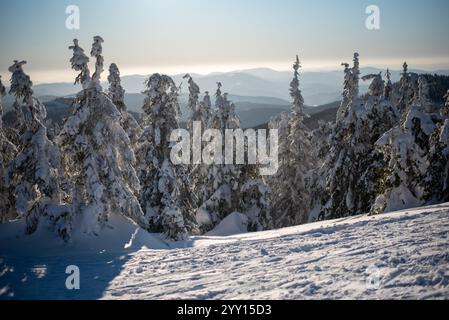 Das Skigebiet Pilsko liegt an der Grenze zwischen Slowenien und Polen und bietet malerische Pisten und Ausblicke Stockfoto