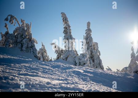 Das Skigebiet Pilsko liegt an der Grenze zwischen Slowenien und Polen und bietet malerische Pisten und Ausblicke Stockfoto