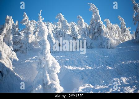 Das Skigebiet Pilsko liegt an der Grenze zwischen Slowenien und Polen und bietet malerische Pisten und Ausblicke Stockfoto