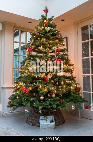 Inneneinrichtung mit geschmücktem Weihnachtsbaum und Geschenk unter dem Baum im Wohnzimmer Wintergarten, Großbritannien Stockfoto