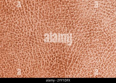 Orangefarbenes Jacquard-Material mit abstraktem Shabby-Punktmuster. Nahaufnahme, Makrotextur. Polsterung, Vorhang dekorative Stoffstruktur, Leinwand für Zuhause DE Stockfoto
