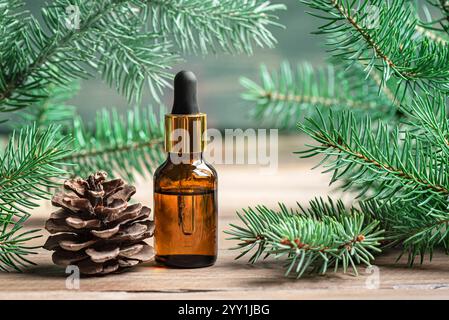 Tropfflasche für ätherisches Öl aus Tanne, Zedernholz, Kiefer. Ätherisches Öl aus Kiefer oder Tanne und Fichte in bernsteinfarbener Glasflasche und Kiefernkegel, grüne immergrüne Zweige. Stockfoto