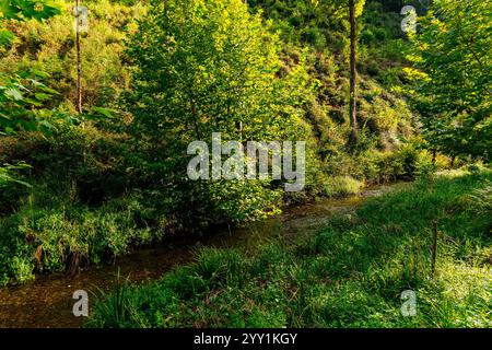 Der idyllische Fluss Sastarrain. Zestoa, Guipuzkoa, Baskenland, Spanien, Europa Stockfoto