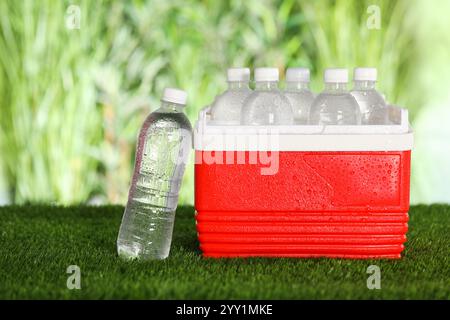 Viele Flaschen Wasser in Kühlbox auf Kunstrasen Stockfoto