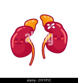 Kranke menschliche Nieren. Niedliche Charaktere im Kawaii-Stil. Organe, Harnsystem. Vektorabbildung, abgewickelt. Gesundheitsprobleme. Für Aufkleber, Bücher Stock Vektor