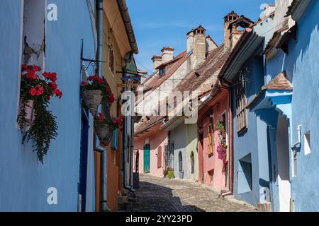 Farbenfrohe Häuser in der mittelalterlichen Zitadelle, Sighișoara, Siebenbürgen, Rumänien Stockfoto