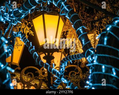 Weihnachtsbeleuchtung – gelbe Stadtlaterne und blaue Girlanden in Jerewan Stadt am Winterabend Stockfoto