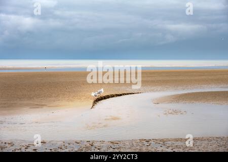 Cumber Sands an einem Herbsttag, Blick auf den Strand und den Ärmelkanal, East Sussex, England Stockfoto