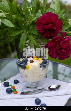 Köstliches Vanilleeis-Dessert in einer Glasschale mit frischen Blaubeeren, Schokoladenchips und bunten Süßigkeiten auf einer weißen Serviette Stockfoto