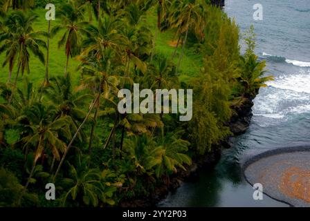 Palmen säumen Einen Bay Inlet in Maui, Hawaii Stockfoto