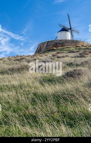 Typische Windmühlen im Dorf Consuegra, Provinz Toledo, Castilla La Mancha, Spanien Stockfoto