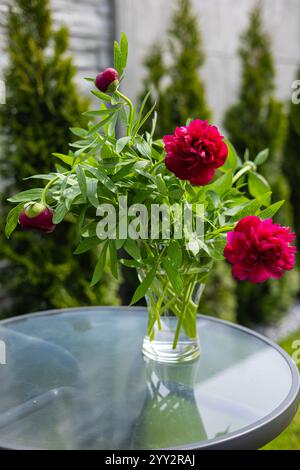 Elegantes Bouquet aus leuchtenden roten Pfingstrosen mit üppig grünen Blättern in einer klaren Glasvase auf einem runden Glastisch im Freien, umgeben von Gartengrün Stockfoto