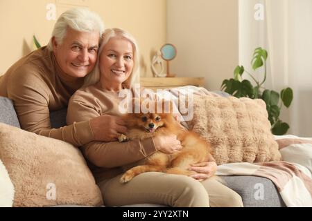 Glückliches Seniorenpaar mit süßem Pommerschen Hund zu Hause Stockfoto