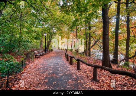 Der Herbst im Central Park, New York City, fängt den Zauber der Natur in einer urbanen Landschaft ein. Dieses ruhige Bild zeigt einen von Bäumen gesäumten Weg. Stockfoto