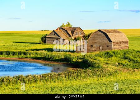 Eine friedliche Landschaft mit einem kleinen Teich und drei alten, verlassenen Gebäuden. Die Gebäude sind aus Holz und haben einen rustikalen Charme. Der Teich ist Stockfoto