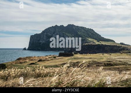 Seongsan Ilchulbong Mountain, Jeju Island, Südkorea Stockfoto