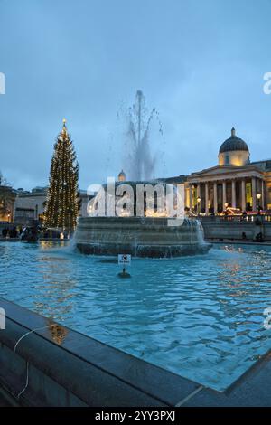 Weihnachtsbaum am Trafalgar Square London, UK Dezember 2024 Stockfoto