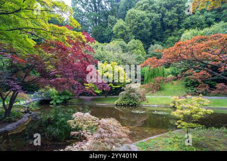 Eine ruhige Gartenszene mit leuchtendem Rot-, Grün- und Gelbwerk, das einen ruhigen, reflektierenden Teich umgibt. Die üppigen Bäume und ihre Spiegelreflexe Stockfoto