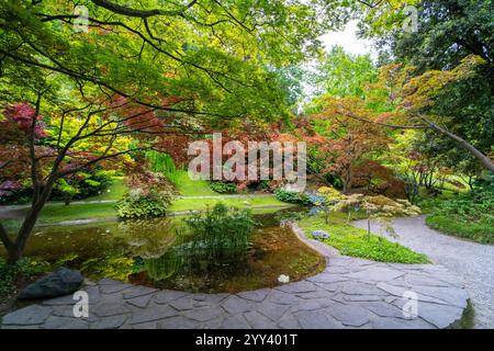 Eine ruhige Gartenszene mit leuchtendem Rot-, Grün- und Gelbwerk, das einen ruhigen, reflektierenden Teich umgibt. Die üppigen Bäume und ihre Spiegelreflexe Stockfoto